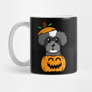 Funny Schnauzer is in a pumpkin Mug